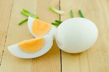 مصرف تخم مرغ برای پرندگان و طوطی سانان