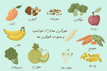 10 خوراکی خوشمزه و سالم که پرندگان مخصوصا طوطی ها خیلی دوست دارند