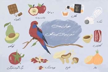 خوراکی های سمی و خطرناک برای پرنده