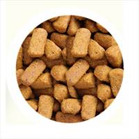 غذای طوطی سانان سیتاکوس2 مدل امگا وزن 800 گرم.jpg