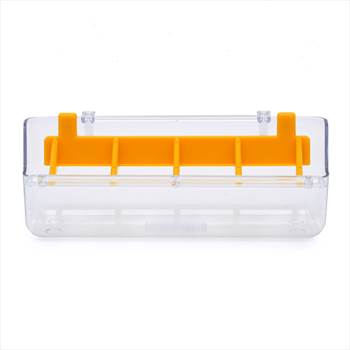 دانخوری پرندگان.jpg