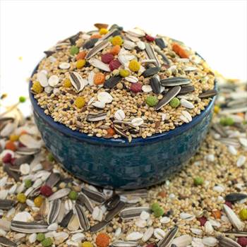مقوی ترین غذای عروس هلندی