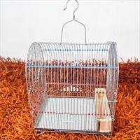 قفس-سهره-ریز-چشم.jpg