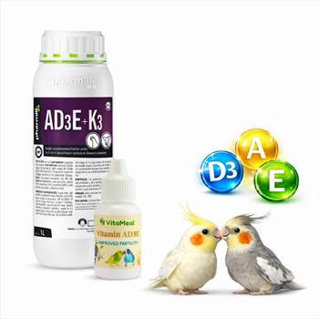 ad3e-پرندگان-تقویت-نطفه.jpg