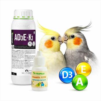نطفه-ad3e-پرنده.jpg