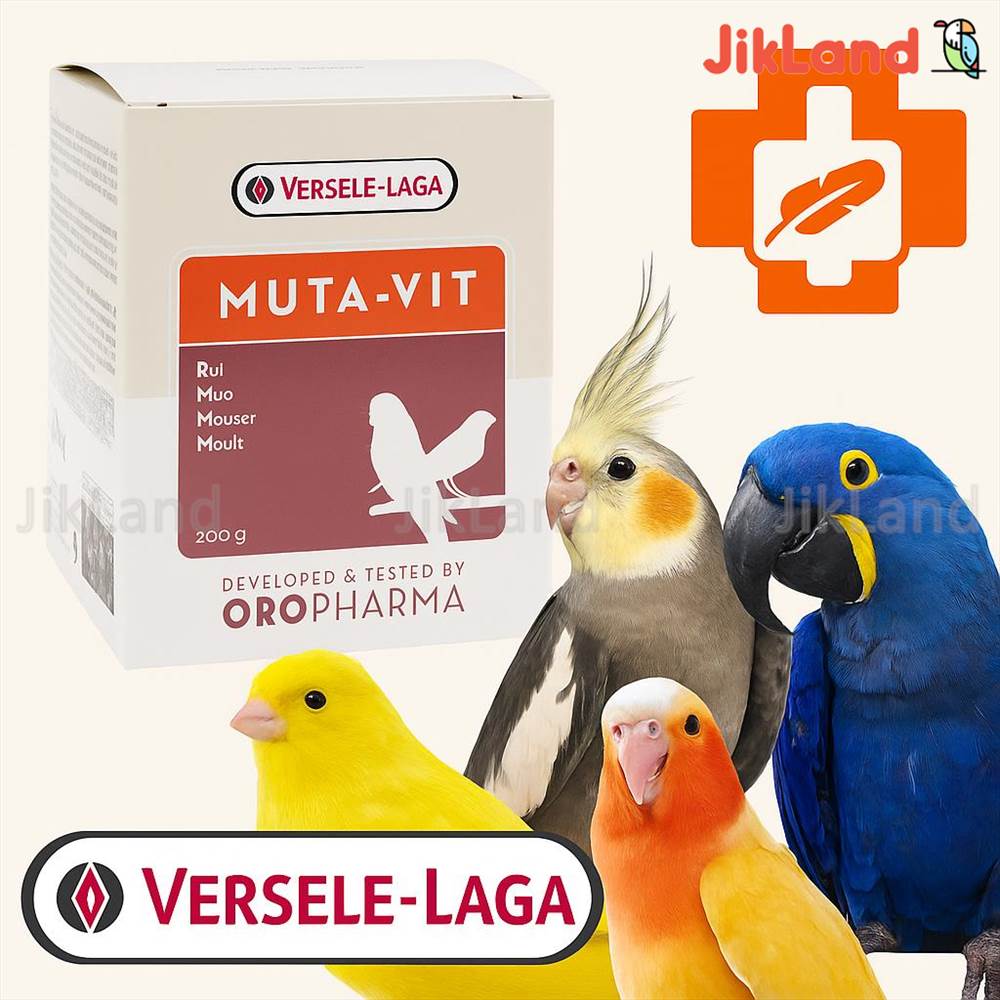 موتاویت عروس هلندی (Muta-Vit) مکمل پرسازی و درمان پرریزی