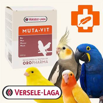 Muta-vit-موتاویت-مکمل-پرریزی-تولکی.jpg