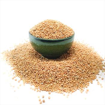 ارزن درشت خارجی پرندگان غذا.jpg