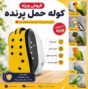 کوله-حمل-عروس-هلندی-گرینچیک.JPG