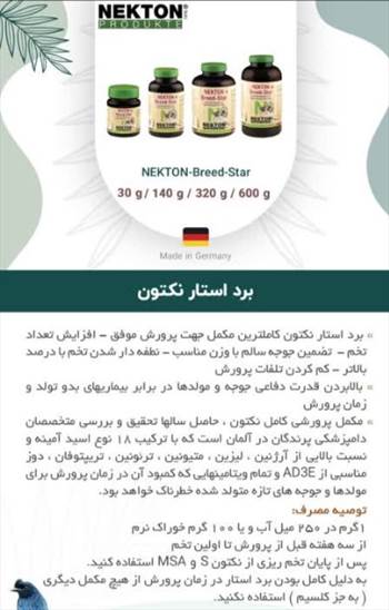 نکتون برید استار.jpg