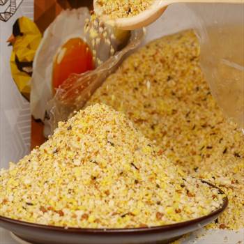 غذای تخم مرغی عروس هلندی و پرنده چیتا فود.jpg