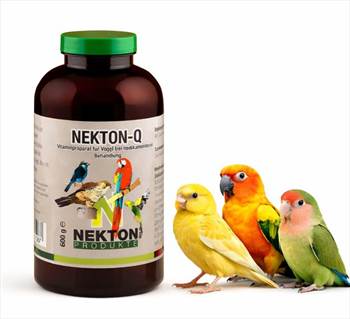 nekton-q-نکتون کیو.JPG