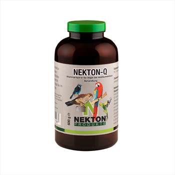 nekton-q-نکتون.jpg