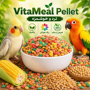 پلت طبیعی عروس هلندی ویتامیل.jpg