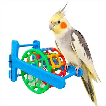 چرخ فلک پرنده اسباب بازی پرنده.jpg