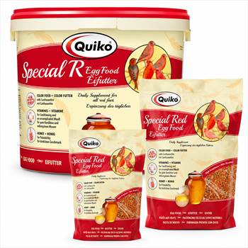 Quiko Red Egg Food غذا تخم مرغی کویکو قرمز برای قناری_.jpg