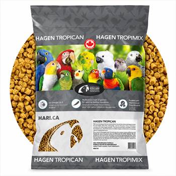 پلت هاگن طوطی تروپیکان HAGEN Tropican_.jpg