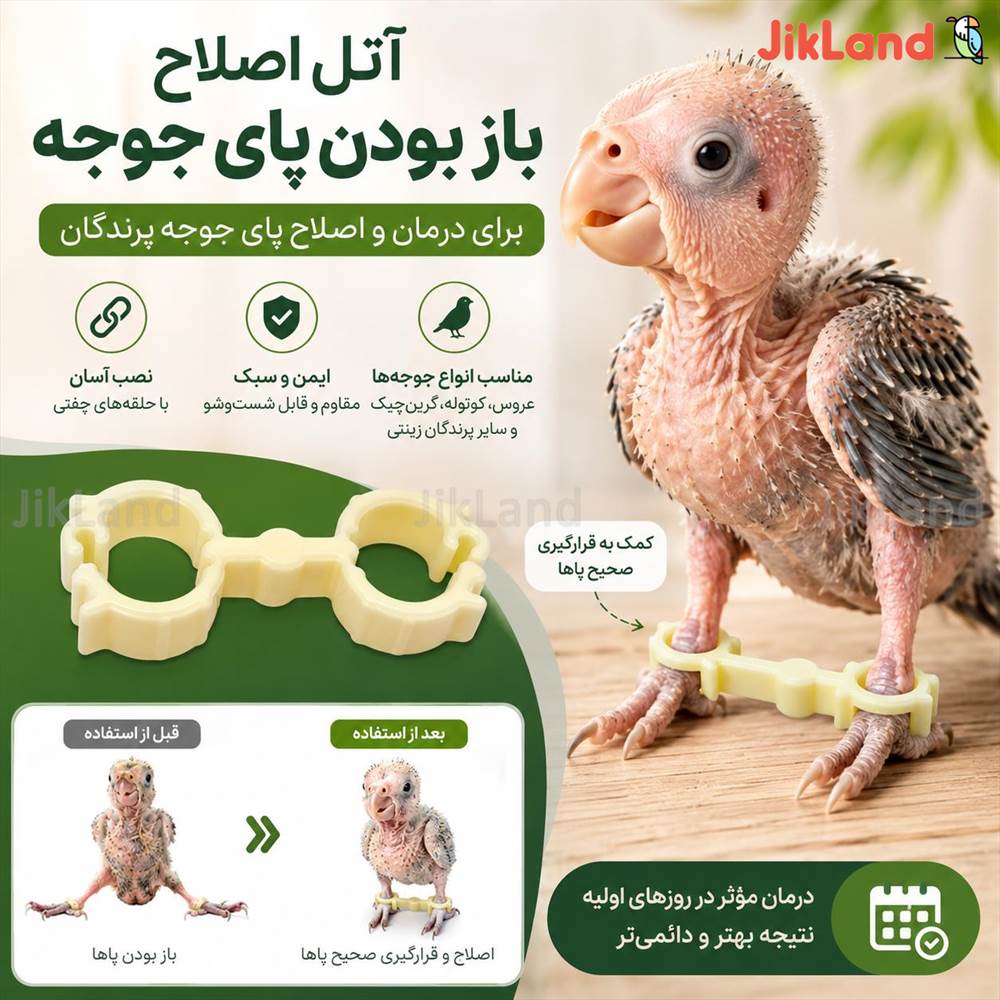 آتل پای جوجه پرندگان زینتی