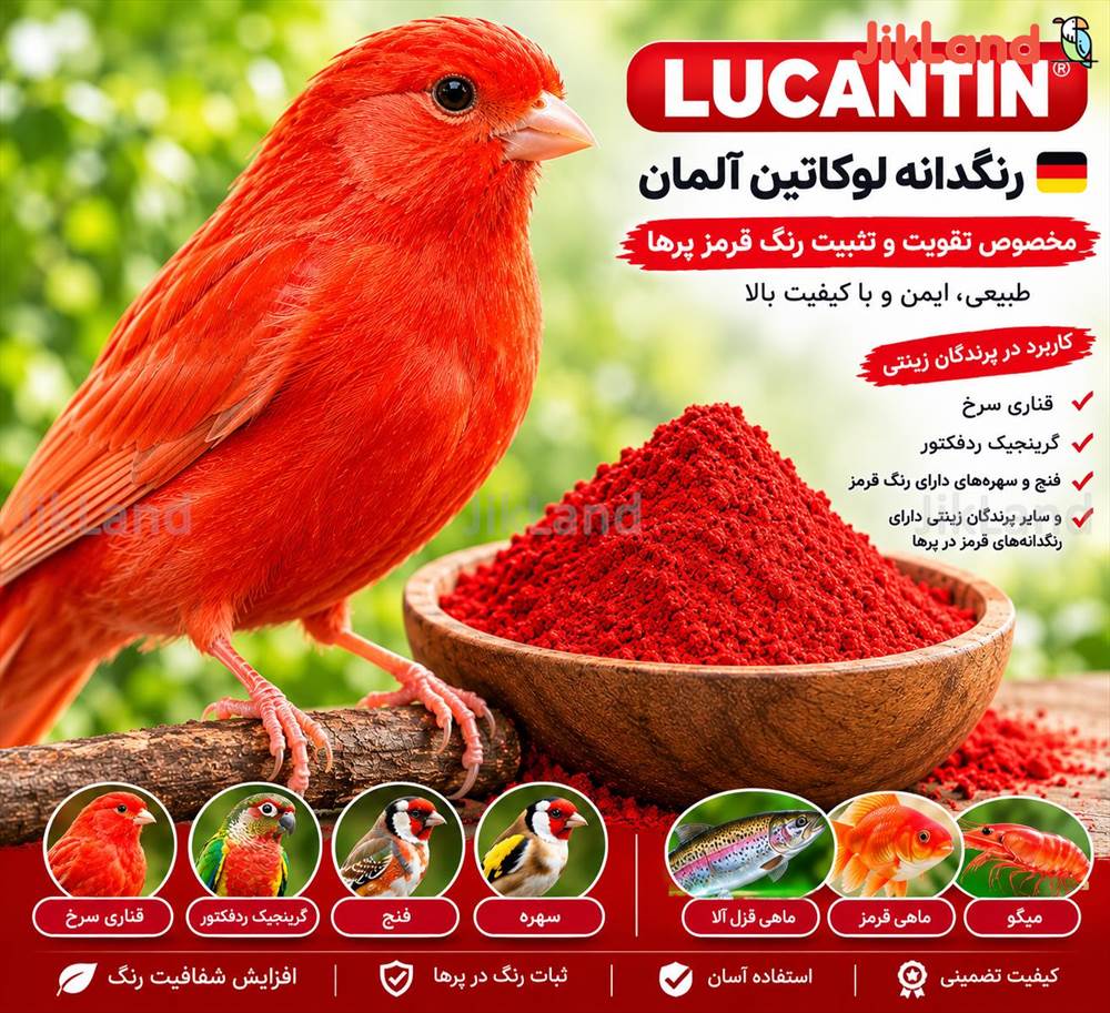 رنگدانه قناری لوکانتین آلمان