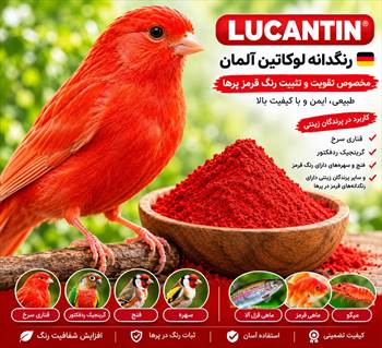 رنگدانه-قناری-آلمانی-لوکانتین.jpg